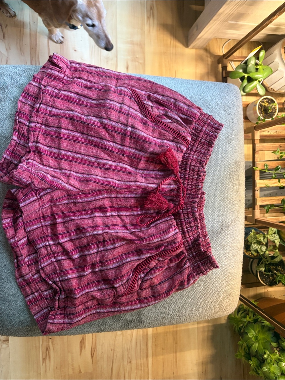 Briggs New York Pink Striped High-Waist Tassel Shorts